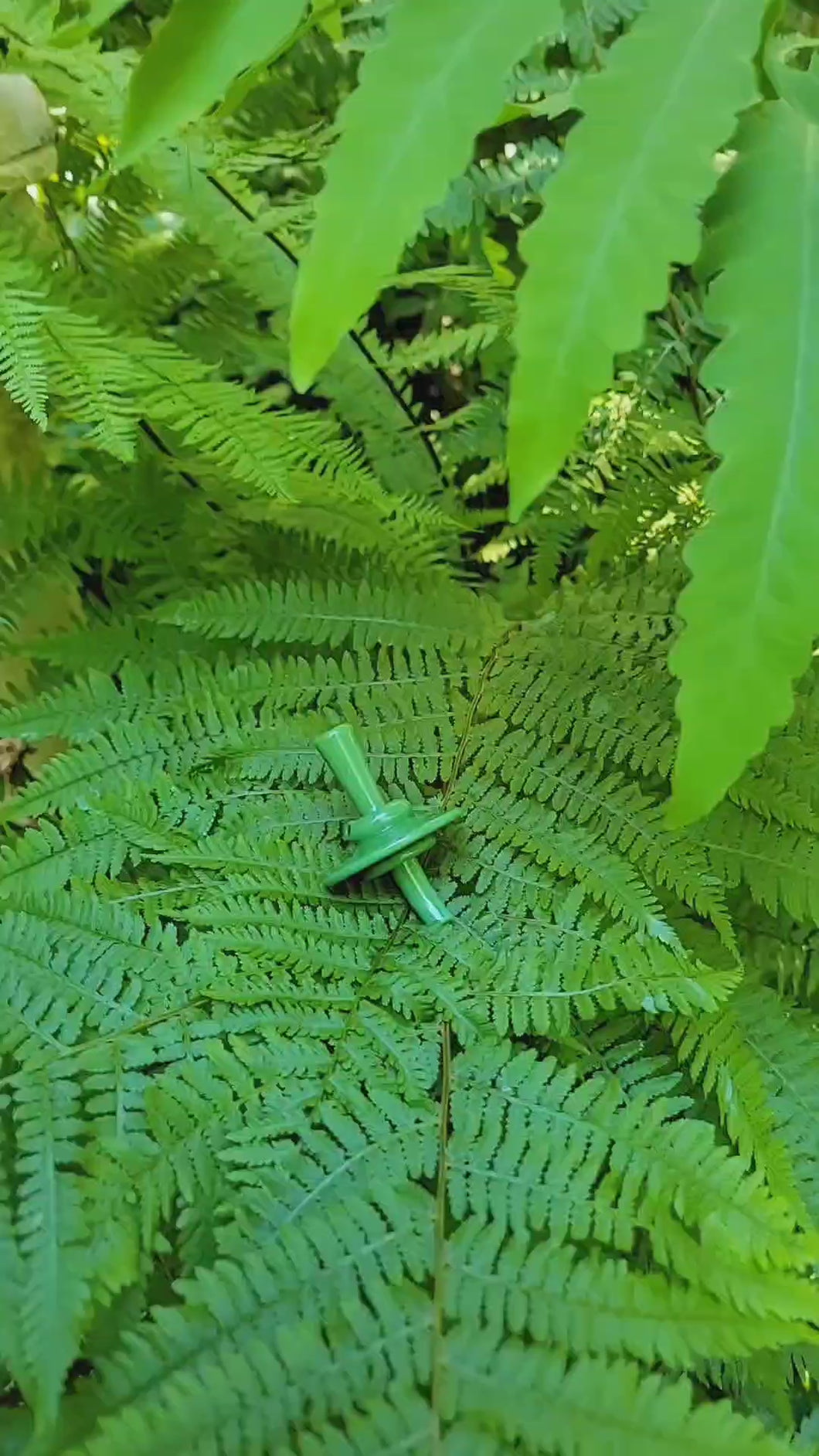 Jade green v2