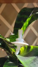Load image into Gallery viewer, Lotus White V2
